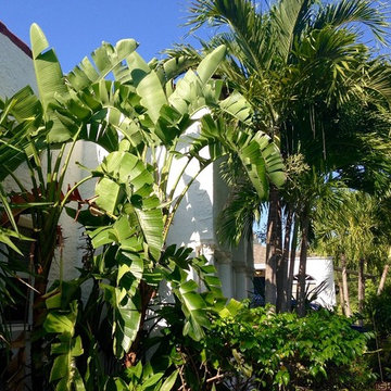 white stucco mediterranean revival house with barrel tile roof and super tropica