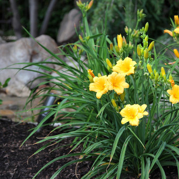 Plant Materials