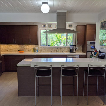 San Rafael Eichler Kitchen and Home Remodel