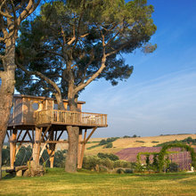 Tree House