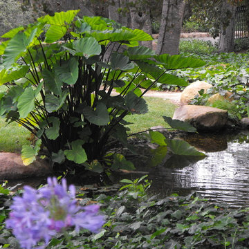 Water Gardens