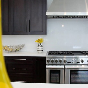 Stainless Steel Oven with Range and Vent Hood