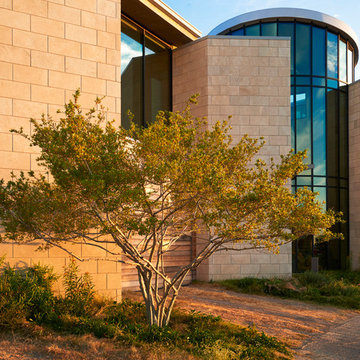 Drive area with native grasses, trees for low-water, no mow yard