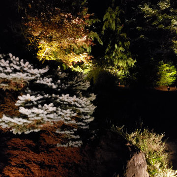 A Complete Outdoor Lighting Paradise