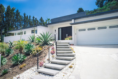Home design - 1960s home design idea