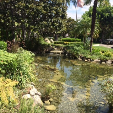 Backyard ecosystem ponds
