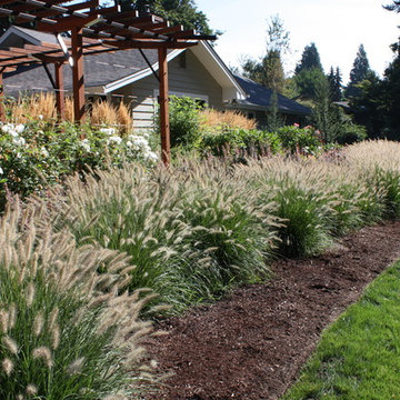 Grasses and Movement
