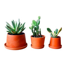 Spring Products