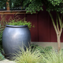 Outside Gardens And Pots