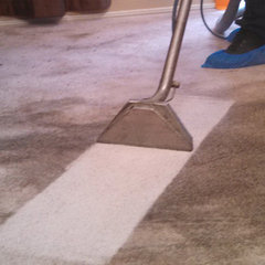 Professional Carpet Cleaning Geelong