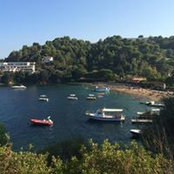 Andrew Stewart's photo