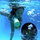 webuser_621202
