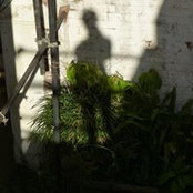 Claire Buisson's photo