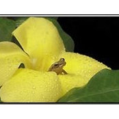 Carmen Rivera's photo