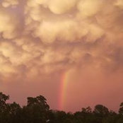 Danielle Bannister's photo