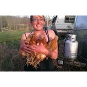Erin Hogan's photo