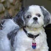 Suzanne Truchon's photo