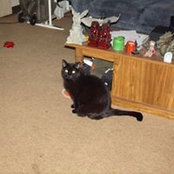 Peter Kuhlman's photo