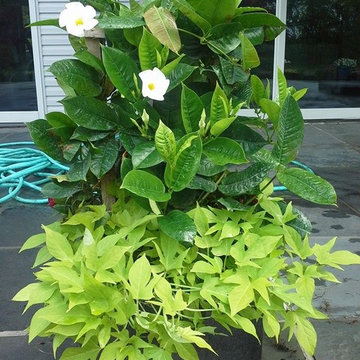 Container Gardens-New Vernon