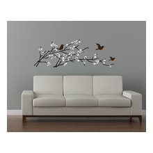 Birds
