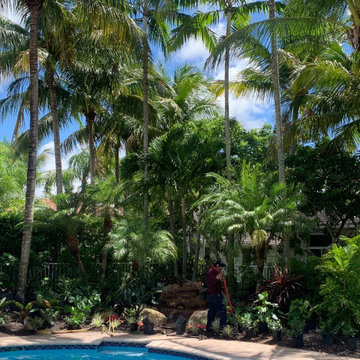 TROPICAL BACKYARD