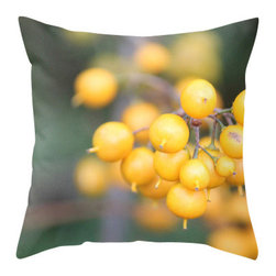 BACK to BASICS - Orange Berries Pillow Cover, 20x20 - Decorative Pillows