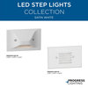LED Indoor/Outdoor Satin White Integrated LED Wall or Step Light