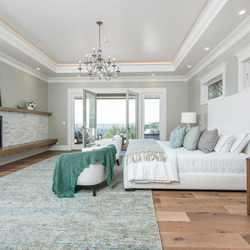 Transitional Bedroom