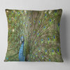 Beautiful Peacock with Feathers Animal Throw Pillow, 18"x18"