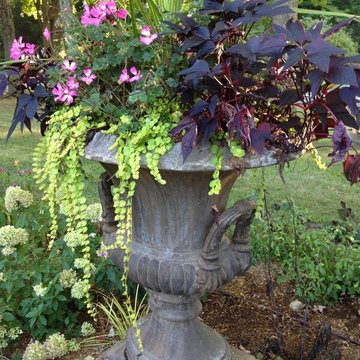 Annuals and pots