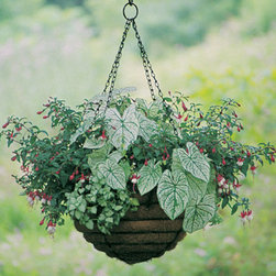 Old Fashioned Hanging Planter - Outdoor Decor