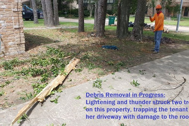 Debris Clean-up In Action: BEFORE & AFTER