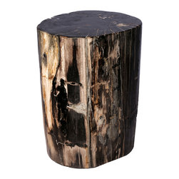 Petrified Wood Table - Side Tables And End Tables