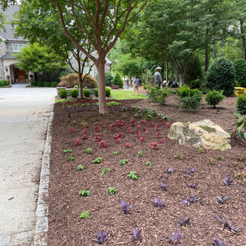 Spring and Summer Annuals Landscape Beds