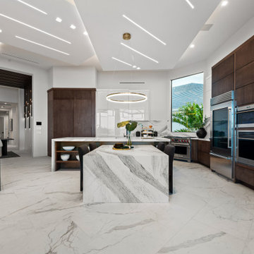 Sand Dollar Model