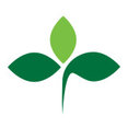 JMR Landscaping's profile photo