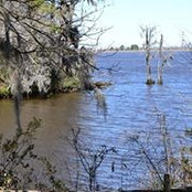 Ellen Marlowe's photo