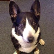 Cathy Kruse's photo