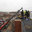 Sunset Exteriors & Restoration Inc