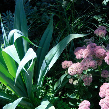 Malvern garden