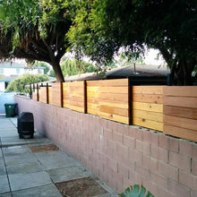 Los Angeles Landscape