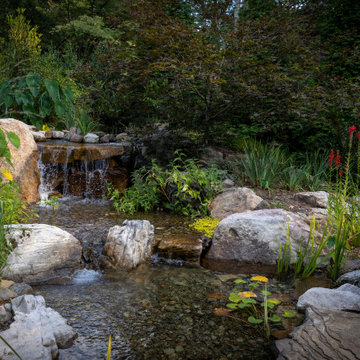 Azaroff Garden