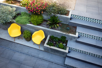 Photo of a modern landscaping in San Francisco.