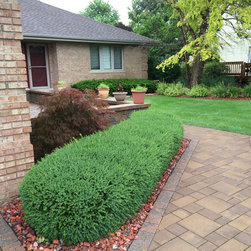 Bushes and Shrubs - Products