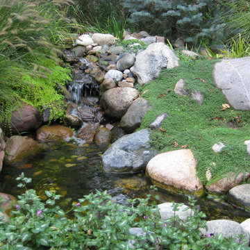 Water Gardens