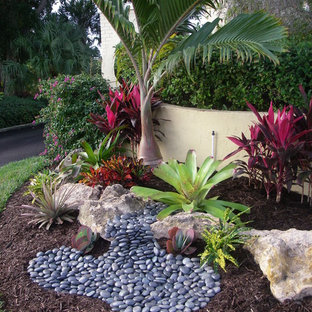 75 Most Popular Tropical Tampa Landscaping Design Ideas for 2019 ...