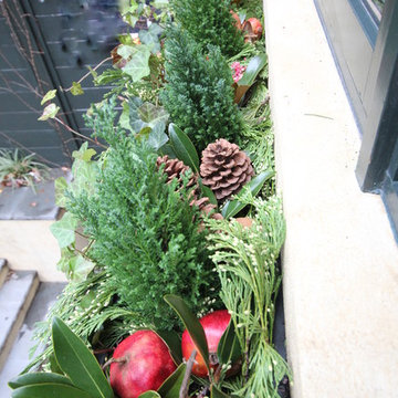Christmas window boxes in Brooklyn