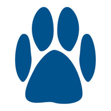 smartypup