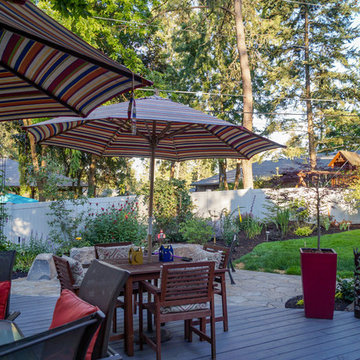 Mid-Century Backyard