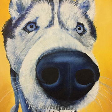 Pet Portraits